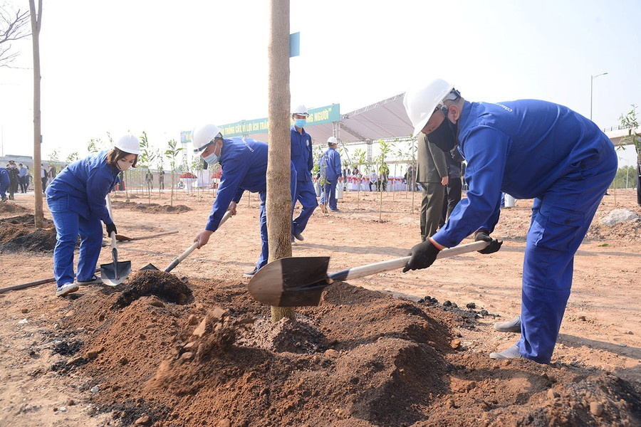Hà Nội ban hành kế hoạch trồng mới 500.000 cây xanh trên Thành phố