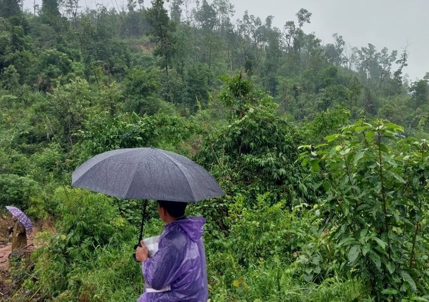 Thừa Thiên – Huế: Khai thác rừng trái phép, một phụ nữ bị xử phạt 85 triệu đồng