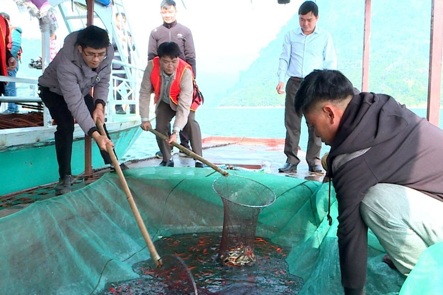 Tuyên Quang tái tạo và nuôi trồng thủy sản giúp người dân thoát nghèo