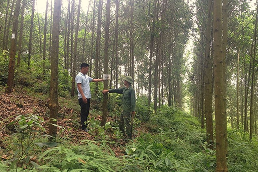 Bắc Giang: Tập trung nguồn lực giảm nghèo vùng dân tộc và miền núi