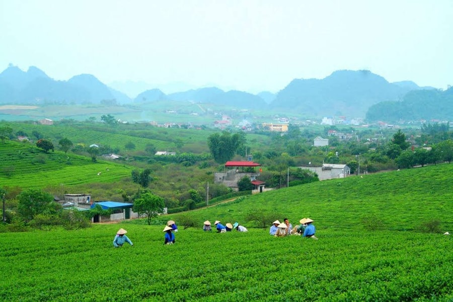 Tăng hỗ trợ bảo vệ và phát triển rừng cho đồng bào dân tộc