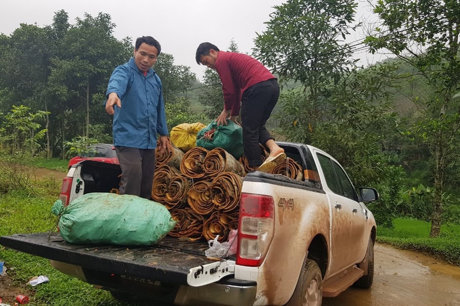 Người tiên phong làm giàu từ trồng rừng