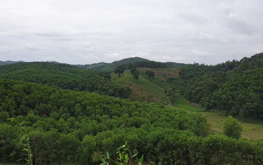 Thanh Hóa:  Bảo vệ rừng, phát triển kinh tế - xã hội