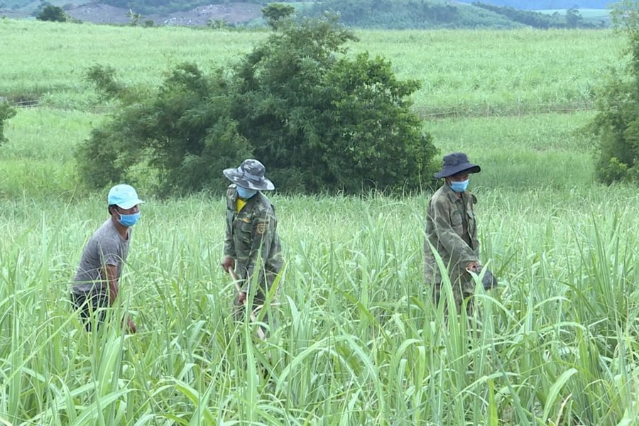 Gương sáng của ông Đinh Chôi