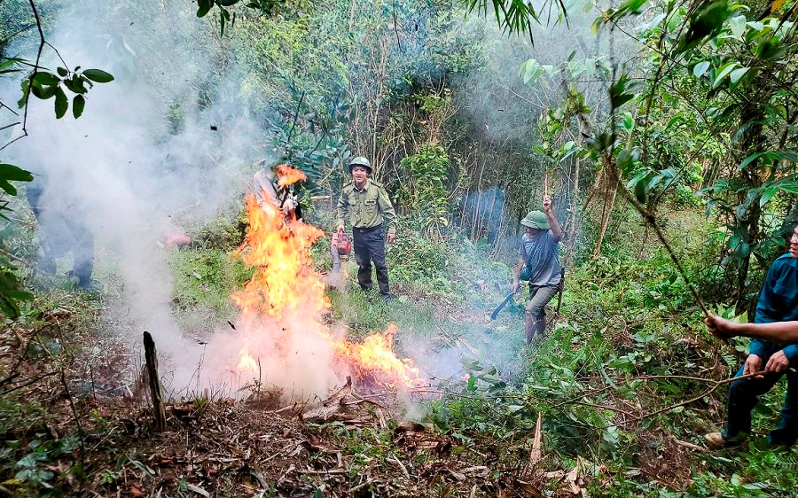 Bảo vệ rừng đầu nguồn ở Thanh Hóa: Đồng bào hưởng lợi