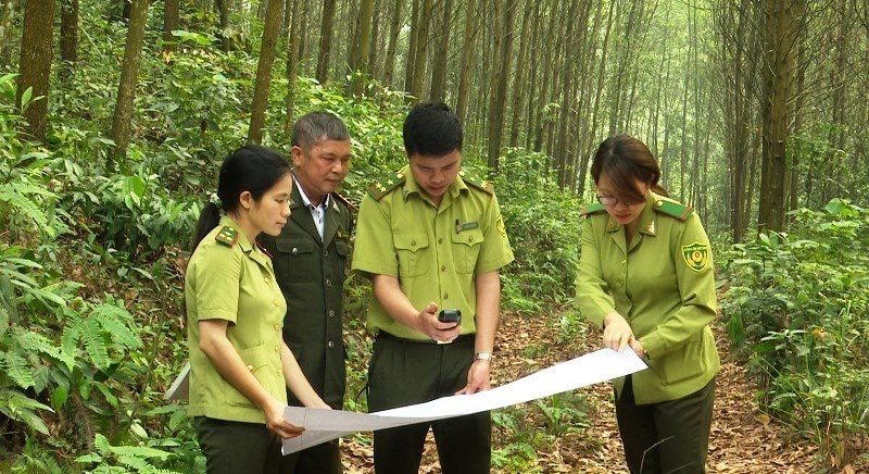 Gia Nghĩa tăng cường bảo vệ rừng phát triển rừng bền vững