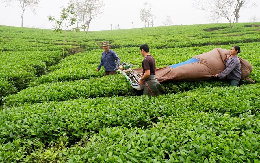 Ứng phó biến đổi khí hậu, giảm thiểu thiệt hại cho đồng bào