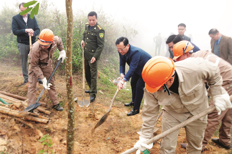 Phát triển xanh và bền vững - động lực để Lào Cai  vươn lên dẫn đầu Tây­ Bắc: Doanh nghiệp đồng hành với phát triển xanh bền vững
