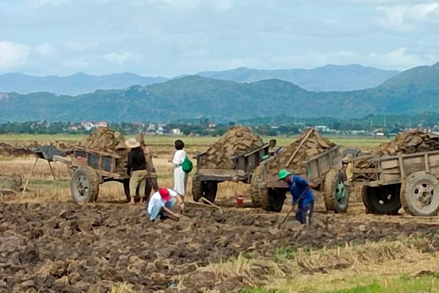 Kỳ bí cánh đồng đất sét “Thạch Sanh”