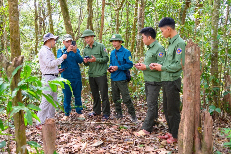 Khu BTTN Mường Nhé tăng cường giám sát tuần tra quản lý bảo vệ rừng