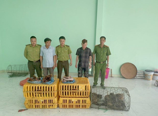 Điện Biên: Ngăn chặn săn bắt động vật hoang dã trái phép