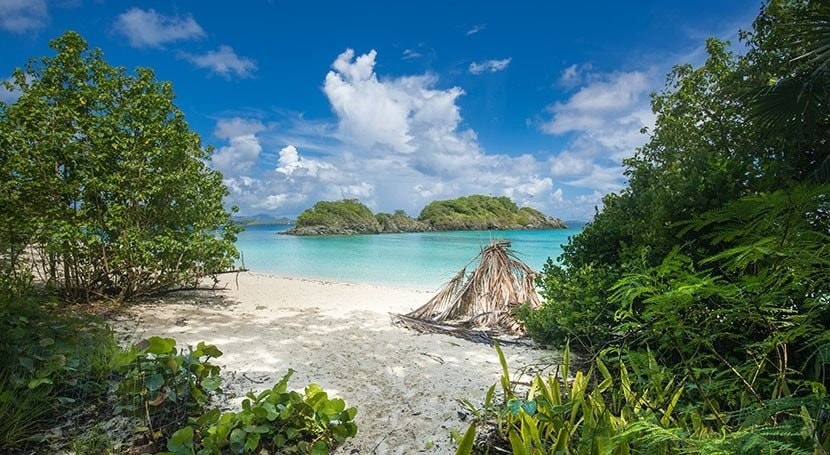 Báo cáo BĐKH và nhu cầu về năng lượng ở Mỹ Latinh và Caribe: Thúc đẩy tuyên bố cùng hành động