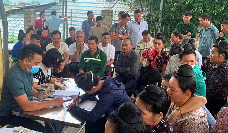 Điện Biên: Chi trả hơn 10 tỷ đồng cho người dân góp đất trồng cao su