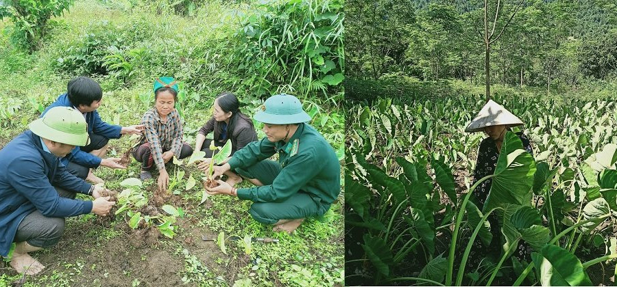 Huyện Quế Phong (Nghệ An): Nỗ lực giảm nghèo ở xã vùng biên Nậm Giải
