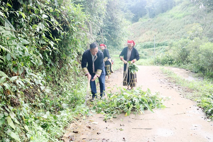 Giáo dân Sa Pa với phong trào sống xanh