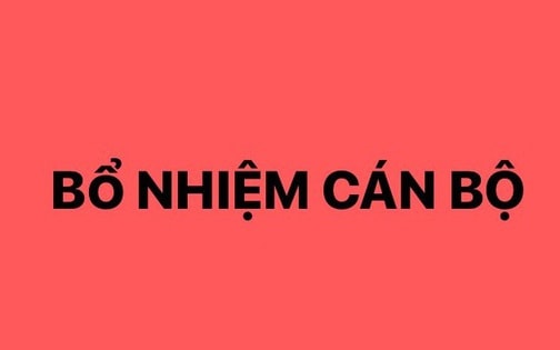 Thủ tục bổ nhiệm chức vụ lãnh đạo, quản lý với CBCCVC