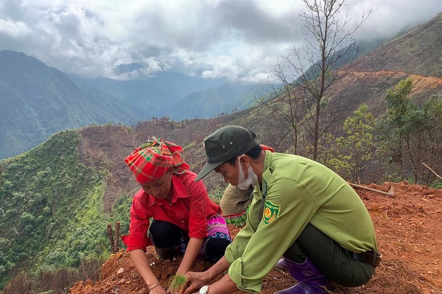 Sơn La: Quản lý, bảo vệ tài nguyên rừng, thích ứng biến đổi khí hậu