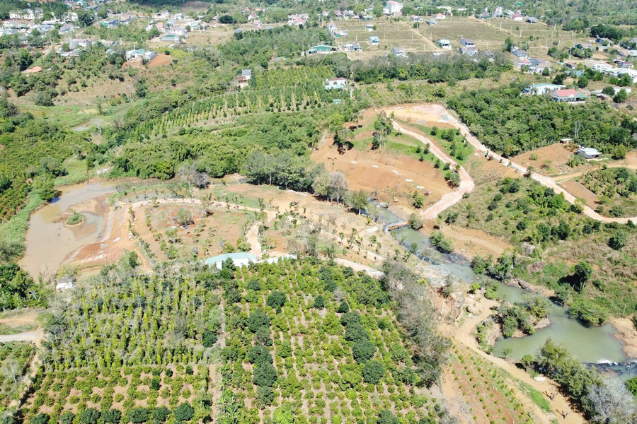 Đắk Lắk: Chuyển dịch cơ cấu cây trồng thích ứng biến đổi khí hậu để phát triển kinh tế