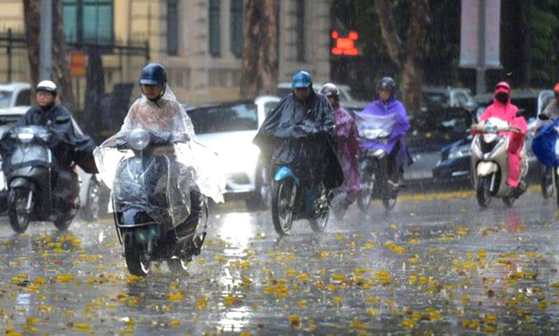 Thời tiết ngày 5/8: Bắc Bộ và Thanh Hóa mưa vừa, mưa to