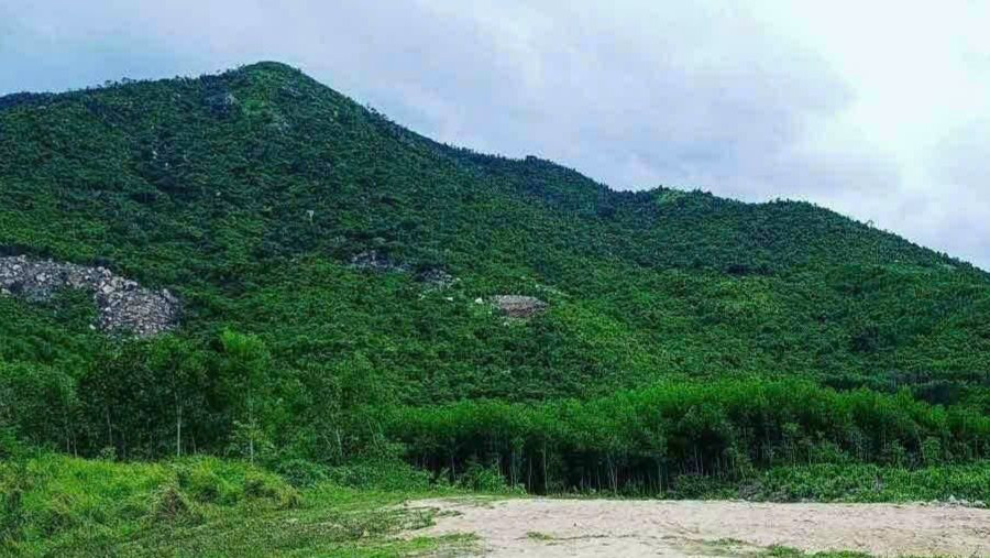 Khánh Vĩnh (Khánh Hòa): Xóa nghèo bền vững nhờ dự án bảo vệ & phát triển tài nguyên rừng