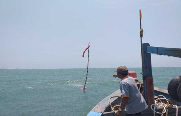 Bình Thuận: Huy động cộng đồng cùng tái tạo nguồn lợi thủy sản