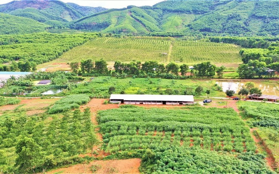 Huyện Hương Khê- Hà Tĩnh: Giảm ô nhiễm môi trường từ chăn nuôi quy mô tập trung