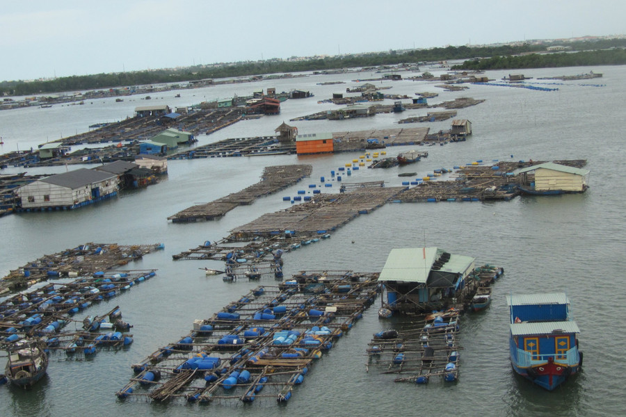 Xã Long Sơn (TP. Vũng Tàu) : Phát huy giá trị những vùng biển lớn