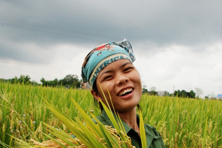 Từ đây người cày có ruộng