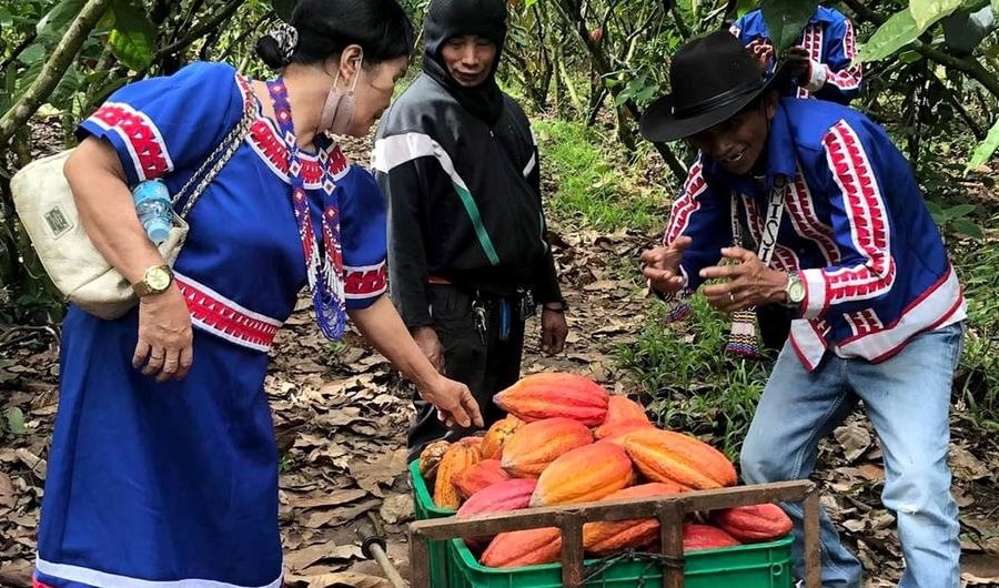 Philippines ứng phó với khủng hoảng khí hậu: Sử dụng kiến thức bản địa tạo giải pháp bền vững