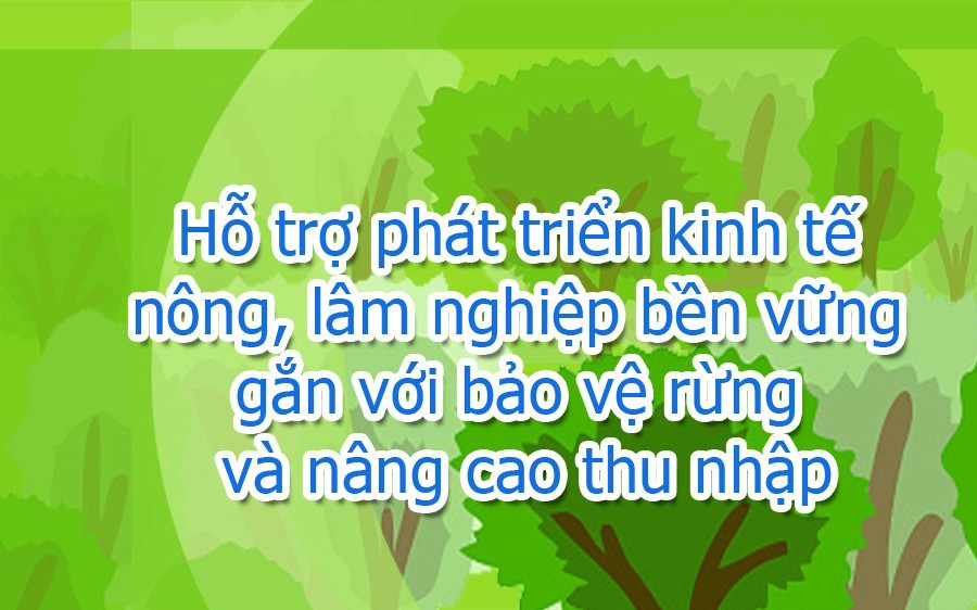 Infographic: Hỗ trợ phát triển kinh tế nông, lâm nghiệp bền vững gắn với bảo vệ rừng và nâng cao thu nhập