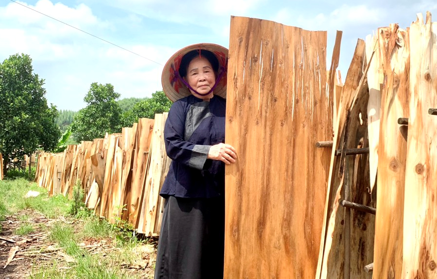 Huyện Yên Thế (Bắc Giang): Nâng cao chất lượng cuộc sống vùng dân tộc thiểu số