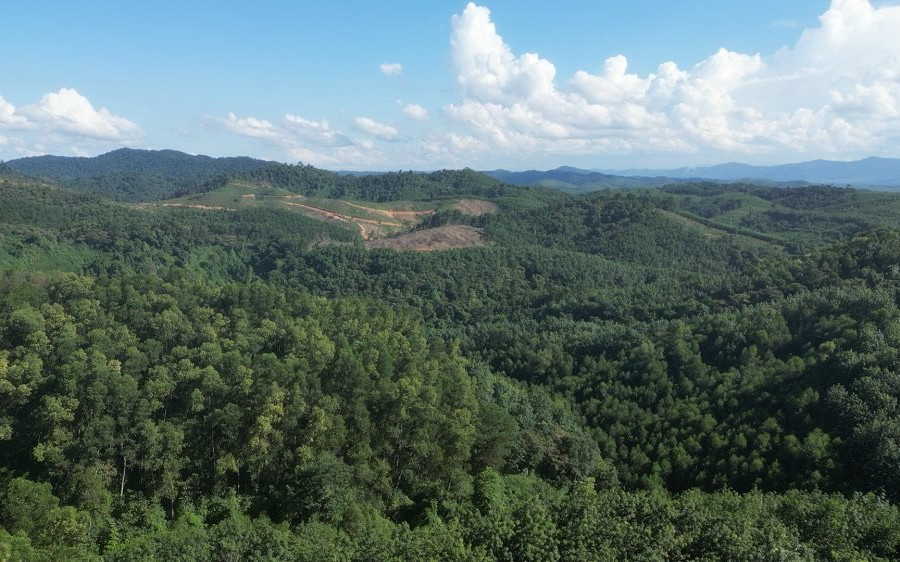 Hà Tĩnh: Trồng, bảo vệ rừng hạn chế sạt lở đất
