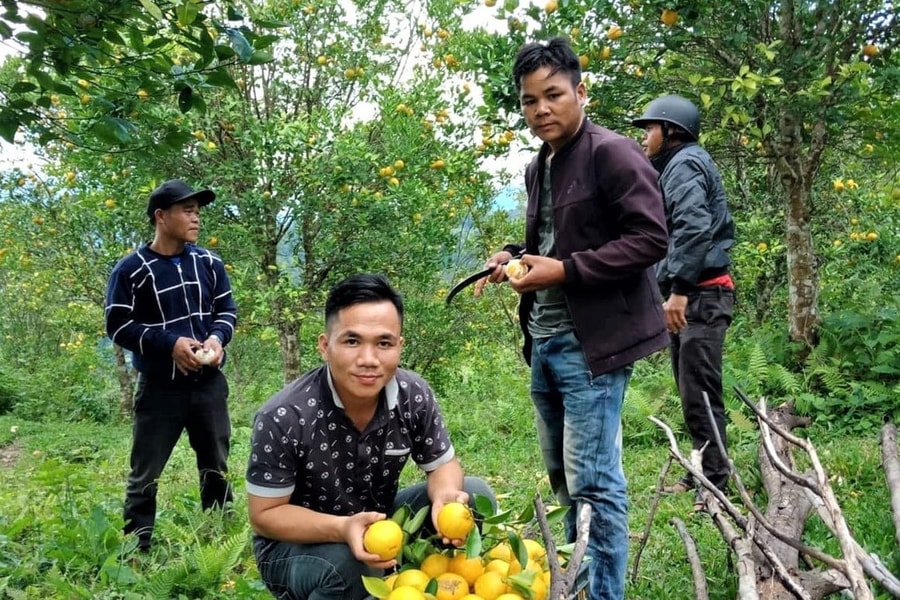 Quả ngọt chốn biên thùy