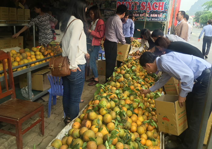 Cao Phong – Hòa Bình: Tập trung nguồn lực cho công tác giảm nghèo