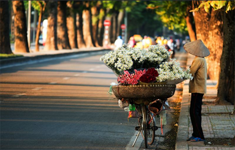 Dự báo thời tiết ngày 28/11: Miền Bắc ngày nắng, sáng và đêm trời rét