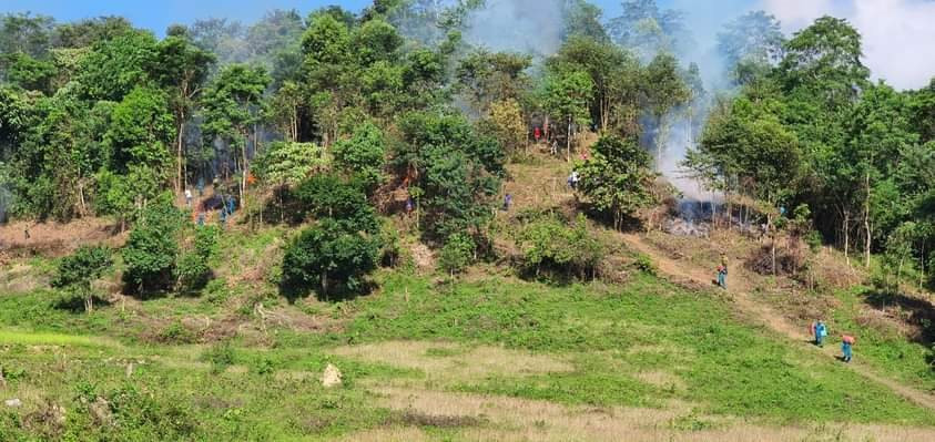 Công tác quản lý, phòng cháy chữa cháy rừng ở huyện Nậm Nhùn