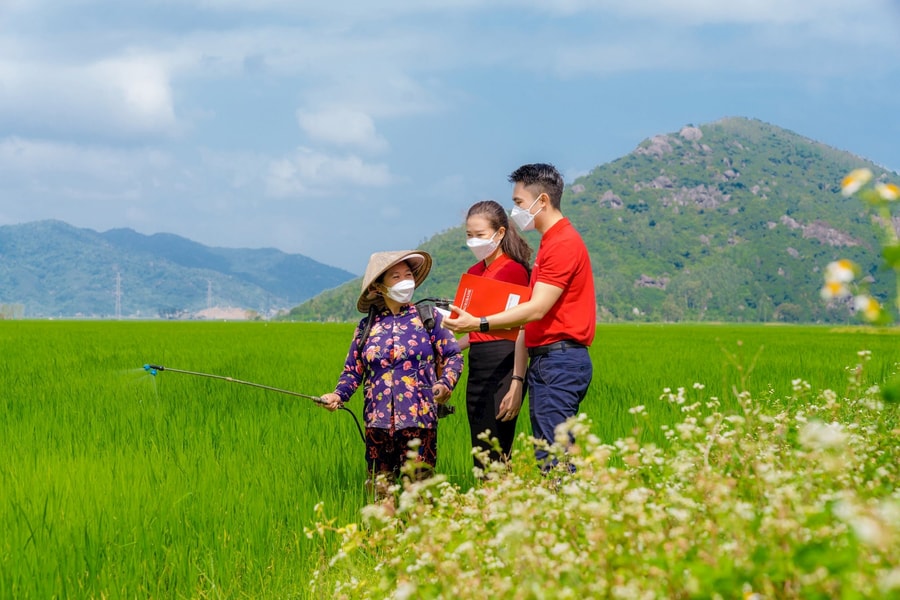 Agribank cung ứng dịch vụ thực hiện Đề án 1 triệu ha chuyên canh lúa