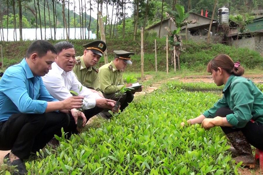 Chính sách chi trả DVMTR ở Yên Bái: Động lực để người dân thêm gắn bó với rừng