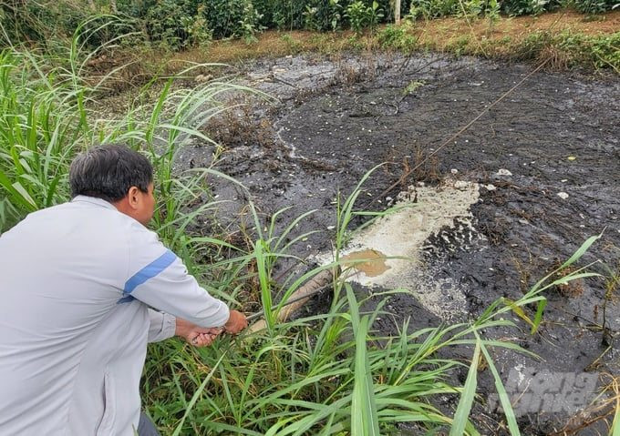 Quảng Trị: Doanh nghiệp bị xử phạt gần 300 triệu đồng vì gây ô nhiễm môi trường