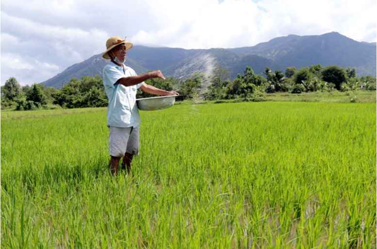 Về miền nắng gió