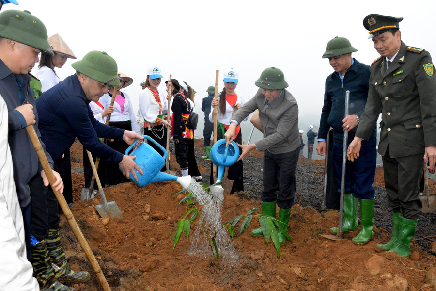 Yên Bái: Hưởng ứng “Tết trồng cây đời đời nhớ ơn Bác Hồ” xuân Giáp Thìn 2024