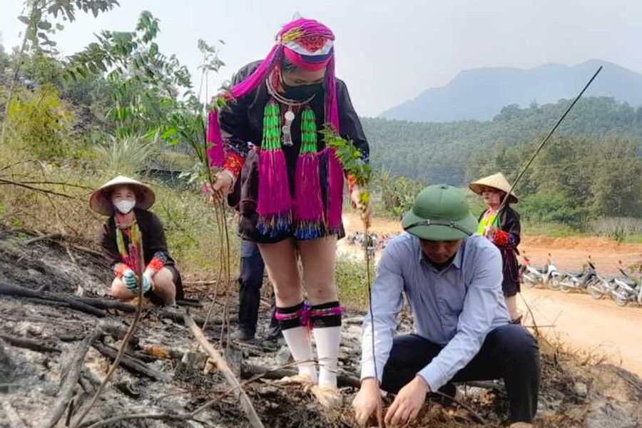 Quảng Ninh: Giữ rừng xanh tạo sinh kế bền vững cho đồng bào vùng cao
