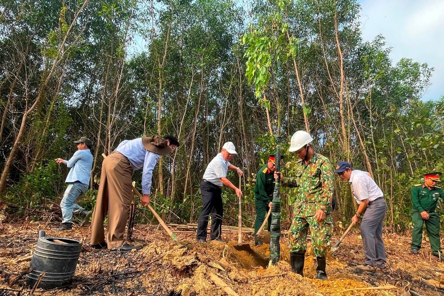 Quảng Ngãi: Sôi nổi “Tết trồng cây” đầu xuân