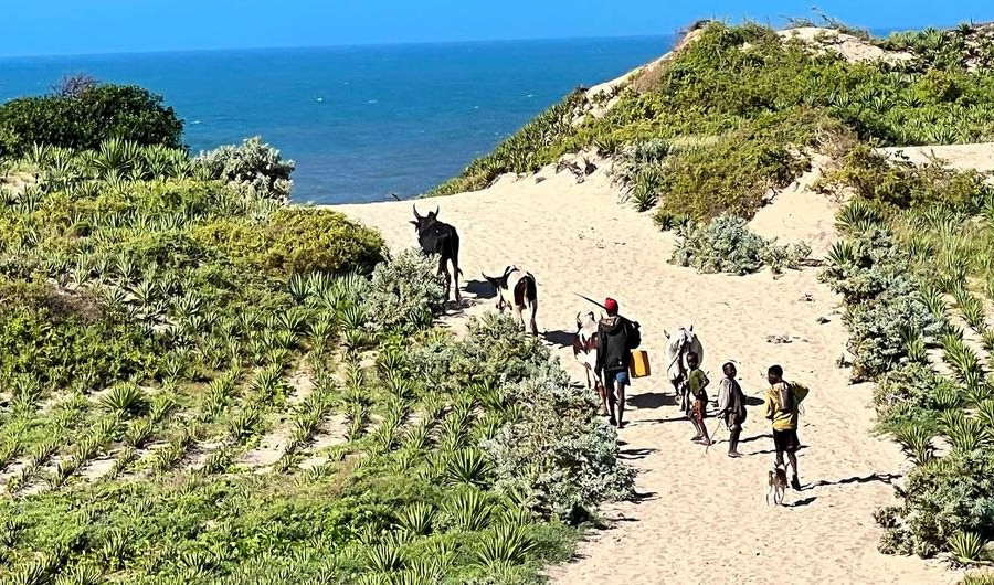 Madagascar thích nghi với thực tế mới về biến đổi khí hậu