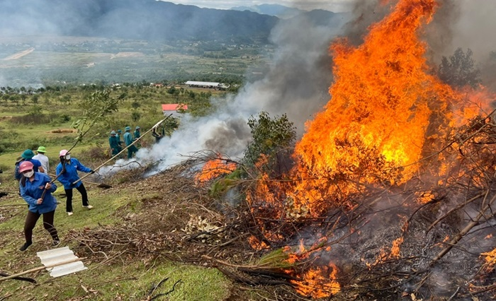 Bắc Giang: Tăng cường ứng phó công tác phòng cháy, chữa cháy rừng