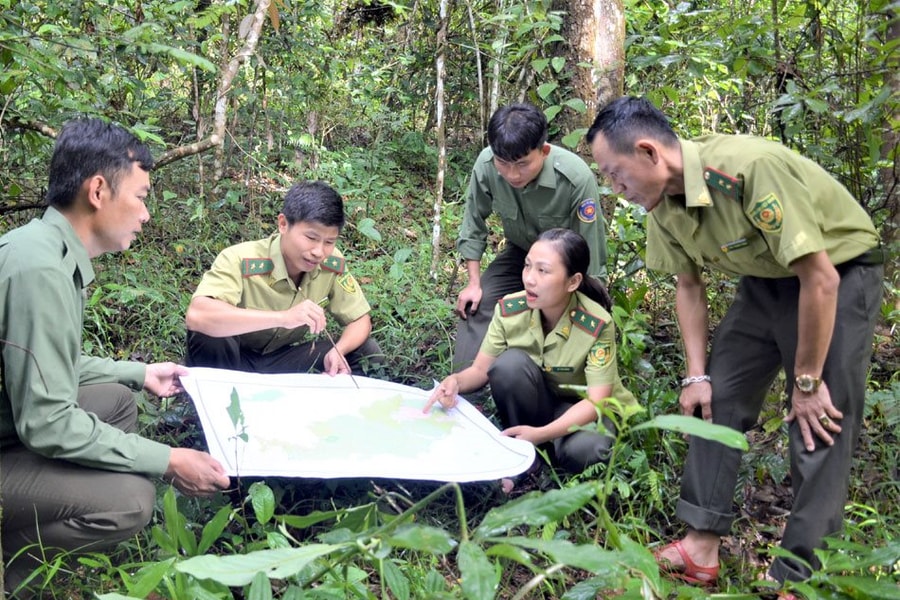 Ban Quản lý Khu Dự trữ thiên nhiên Mường Nhé: Giữ màu xanh cho những cánh rừng