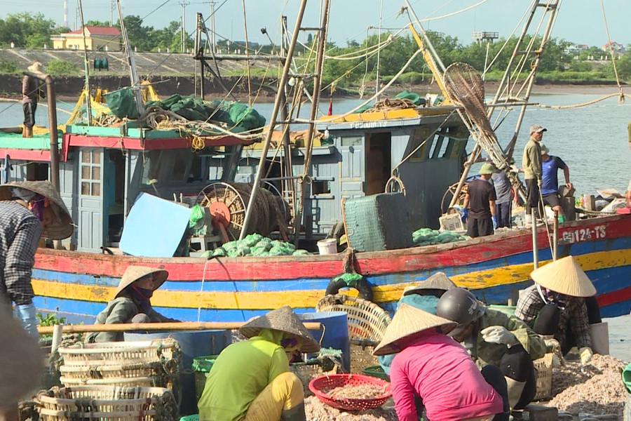 Thái Bình: Xã Thái Thượng phát triển kinh tế biển giúp ngư dân vươn lên thoát nghèo
