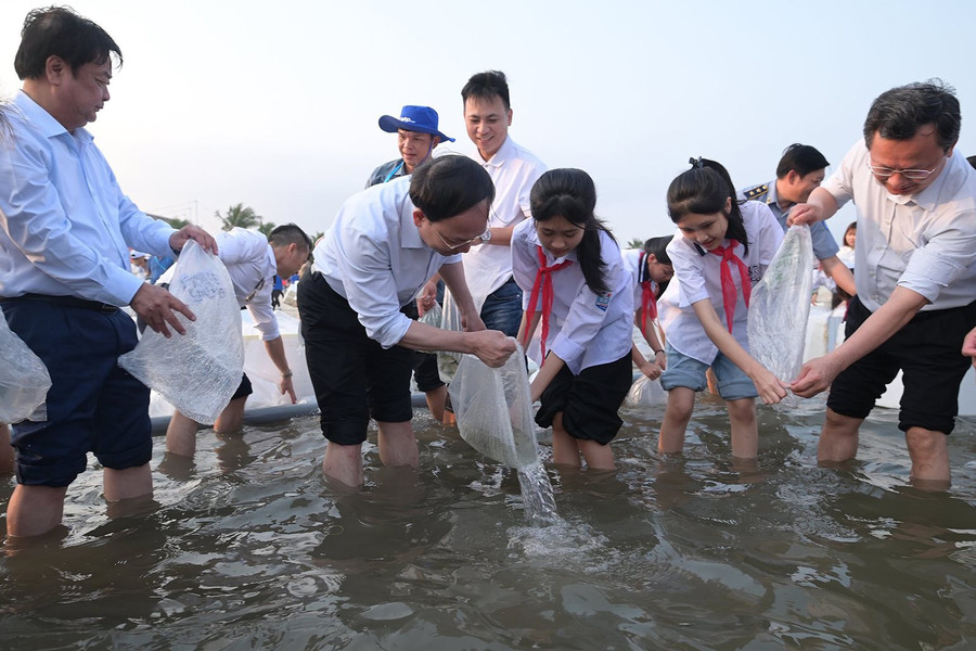 Quảng Ninh: Thả 5 triệu con giống xuống biển để tái tạo nguồn lợi thủy sản