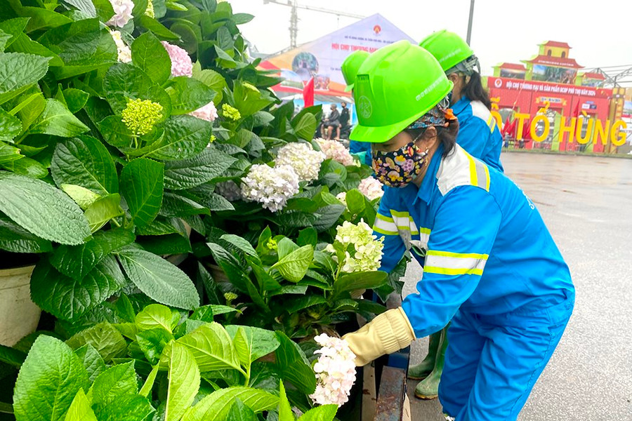 Việt Trì (Phú Thọ): Đón Lễ hội Đền Hùng với hơn 1.000 cây hoa hồng tú cầu