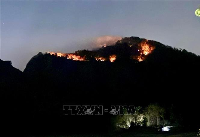 An Giang: Quyết tâm dập tắt các điểm cháy trên núi Cô Tô trong ngày 28/4